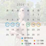 ヒメ日記 2026/05/11 10:00 投稿 八代麻里江 ローテンブルク