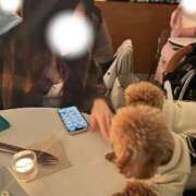 ヒメ日記 2025/04/11 00:33 投稿 りの【ステラ待望の神乳】 STELLA NEXT－ステラネクスト－