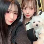 ヒメ日記 2025/04/19 01:51 投稿 りの【ステラ待望の神乳】 STELLA NEXT－ステラネクスト－