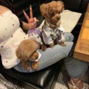 ヒメ日記 2025/07/17 00:24 投稿 りの【ステラ待望の神乳】 STELLA NEXT－ステラネクスト－