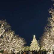 ヒメ日記 2025/12/16 03:20 投稿 りの【ステラ待望の神乳】 STELLA NEXT－ステラネクスト－