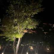 ヒメ日記 2025/12/20 04:45 投稿 りの【ステラ待望の神乳】 STELLA NEXT－ステラネクスト－