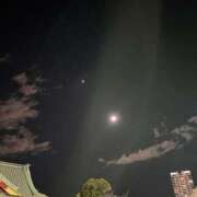 りの【ステラ待望の神乳】 残りわずか‼️ STELLA NEXT－ステラネクスト－