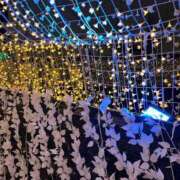 ヒメ日記 2026/01/29 02:16 投稿 りの【ステラ待望の神乳】 STELLA NEXT－ステラネクスト－