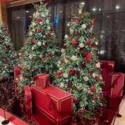 ヒメ日記 2026/02/22 01:45 投稿 りの【ステラ待望の神乳】 STELLA NEXT－ステラネクスト－