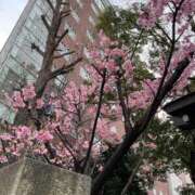 ヒメ日記 2026/03/29 04:07 投稿 りの【ステラ待望の神乳】 STELLA NEXT－ステラネクスト－