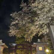 ヒメ日記 2026/04/12 03:15 投稿 りの【ステラ待望の神乳】 STELLA NEXT－ステラネクスト－