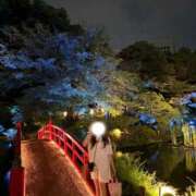 ヒメ日記 2026/08/30 23:58 投稿 りの【ステラ待望の神乳】 STELLA NEXT－ステラネクスト－