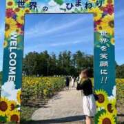 ヒメ日記 2026/10/14 01:25 投稿 りの【ステラ待望の神乳】 STELLA NEXT－ステラネクスト－