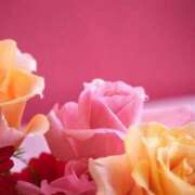 ヒメ日記 2026/02/25 00:27 投稿 まりあ Via 横浜