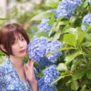 ヒメ日記 2026/06/24 19:59 投稿 中西 ANECOTE