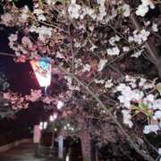 ヒメ日記 2025/04/07 02:07 投稿 くろ☆究極激カワ清楚～妹パイパン PREMIUM萌え可愛いチョコレート～全てのステージで感動の体験を～