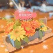 ヒメ日記 2024/12/29 06:30 投稿 仲村 ちあき Men's relaxation VEGA