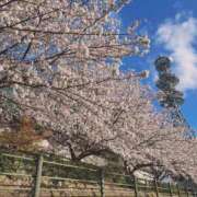 仲村 ちあき 合言葉🌸 Men's relaxation VEGA