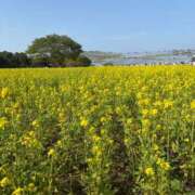 ヒメ日記 2025/05/28 23:32 投稿 佐々木さや 洗体アカスリとHなスパのお店