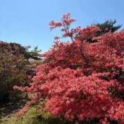 ヒメ日記 2025/06/12 01:28 投稿 佐々木さや 洗体アカスリとHなスパのお店