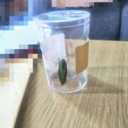 ヒメ日記 2025/07/28 11:08 投稿 月下かんな 洗体アカスリとHなスパのお店