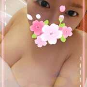 ヒメ日記 2025/02/18 09:14 投稿 叶　愛梨 キングアンドクイーン