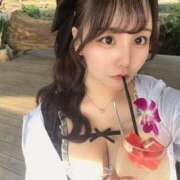 ヒメ日記 2025/09/01 15:40 投稿 なの 君を舐めたくて学園