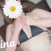 ヒメ日記 2025/01/29 09:15 投稿 羽月　にいな キングアンドクイーン