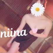 ヒメ日記 2025/03/31 13:02 投稿 羽月　にいな キングアンドクイーン