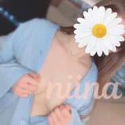 ヒメ日記 2025/04/01 13:17 投稿 羽月　にいな キングアンドクイーン