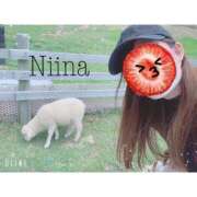 ヒメ日記 2025/06/07 14:24 投稿 羽月　にいな キングアンドクイーン