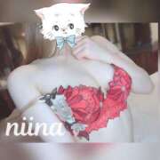 ヒメ日記 2025/11/03 14:14 投稿 羽月　にいな キングアンドクイーン