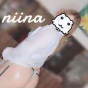 ヒメ日記 2025/11/19 10:15 投稿 羽月　にいな キングアンドクイーン