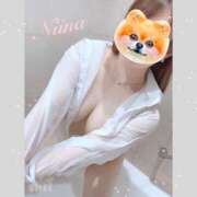 ヒメ日記 2026/04/01 09:30 投稿 羽月　にいな キングアンドクイーン