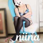 ヒメ日記 2026/04/24 17:01 投稿 羽月　にいな キングアンドクイーン