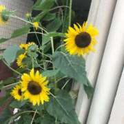 ヒメ日記 2025/08/01 12:15 投稿 このは☆マジメ性徒の初挑戦！！ 妹系イメージSOAP萌えフードル学園 大宮本校