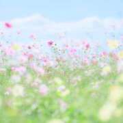 ヒメ日記 2025/11/13 17:19 投稿 七瀬　さゆり キングアンドクイーン