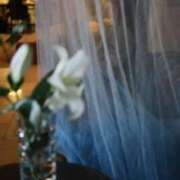 ヒメ日記 2025/11/28 09:08 投稿 七瀬　さゆり キングアンドクイーン