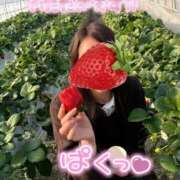 ヒメ日記 2025/01/25 23:23 投稿 えれな 究極元モデル美女♪ L＆Jブラザーズ