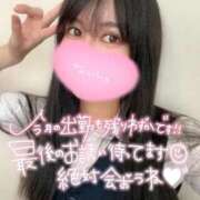 ヒメ日記 2025/11/29 21:33 投稿 えれな 究極元モデル美女♪ L＆Jブラザーズ