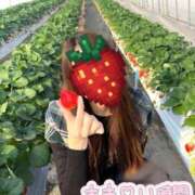 ヒメ日記 2025/12/19 11:38 投稿 えれな 究極元モデル美女♪ L＆Jブラザーズ