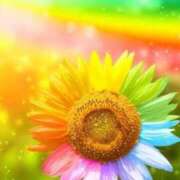 ヒメ日記 2025/06/29 00:08 投稿 長谷川【エステ限定】 ファッションヘルス カリスマ