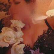 ヒメ日記 2024/12/15 15:28 投稿 あや クラブ日本橋