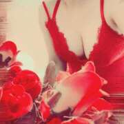 ヒメ日記 2025/09/03 17:35 投稿 あや クラブ日本橋