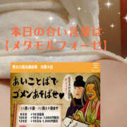 ヒメ日記 2025/11/25 12:16 投稿 たま 熟女の風俗最終章 本厚木店