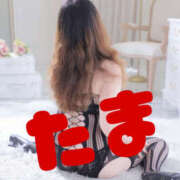 ヒメ日記 2026/03/13 22:41 投稿 たま 熟女の風俗最終章 本厚木店