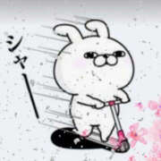 ヒメ日記 2026/03/17 05:11 投稿 たま 熟女の風俗最終章 本厚木店