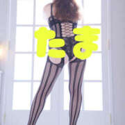 ヒメ日記 2026/04/15 01:51 投稿 たま 熟女の風俗最終章 本厚木店