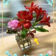 ヒメ日記 2025/01/14 23:32 投稿 筒井　ゆう ソープランド蜜 人妻・美熟女専門店