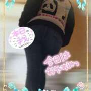 ヒメ日記 2025/03/02 14:03 投稿 筒井　ゆう ソープランド蜜 人妻・美熟女専門店