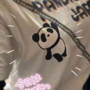 ヒメ日記 2025/04/10 12:30 投稿 筒井　ゆう ソープランド蜜 人妻・美熟女専門店