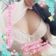 ヒメ日記 2025/04/11 11:22 投稿 筒井　ゆう ソープランド蜜 人妻・美熟女専門店