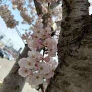 ヒメ日記 2025/04/28 06:12 投稿 筒井　ゆう ソープランド蜜 人妻・美熟女専門店