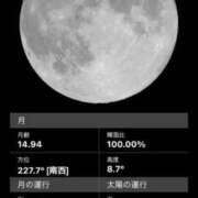 ヒメ日記 2025/05/13 06:12 投稿 筒井　ゆう ソープランド蜜 人妻・美熟女専門店